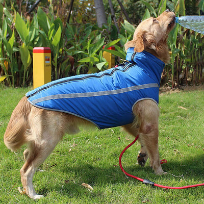 PETCUTE Hundemantel wasserdicht hundejacke für mittelgrosse Hunde Warme hundemantel Fleece Grosse Hu