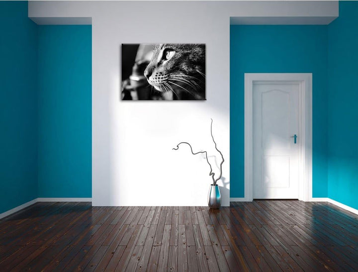 Dark anmutige Katze im Seitenprofilauf Leinwand, XXL riesige Bilder fertig gerahmt mit Keilrahmen, K