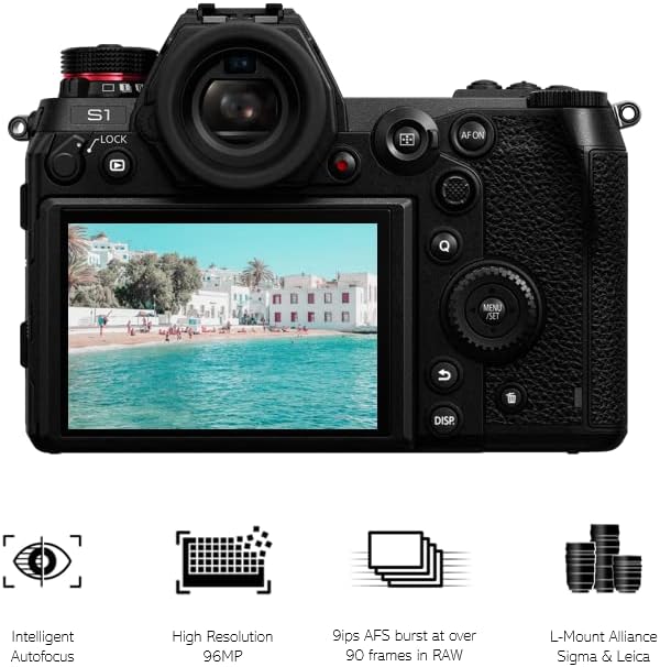 Panasonic DC-S1E-K spiegellose Vollformatkamera, 4K 60p/50p Videoaufnahmen mit Flip Screen (professi
