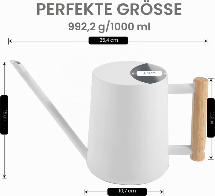 Giesskanne Zimmerpflanzen, 1000ml Metall Edelstahl Giesskanne Kleine Moderne Bewässerung Topf mit la