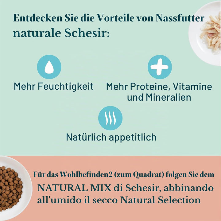 Schesir Cat Kitten Cream Thunfisch - Kitten Nassfutter für Junge Katzen - Hühner-Creme getreidefrei,