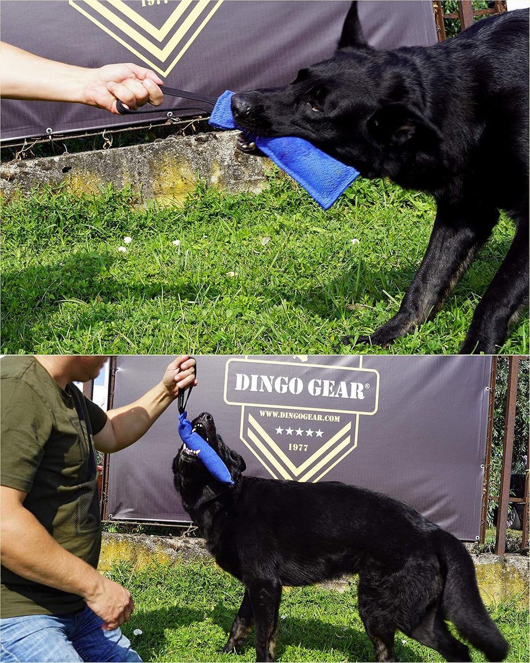 Dingo Gear Baumwolle-Nylon Beisswurst für Hundetraining K9 IGP IPO Obiedence Schutzhund Hundesport 2