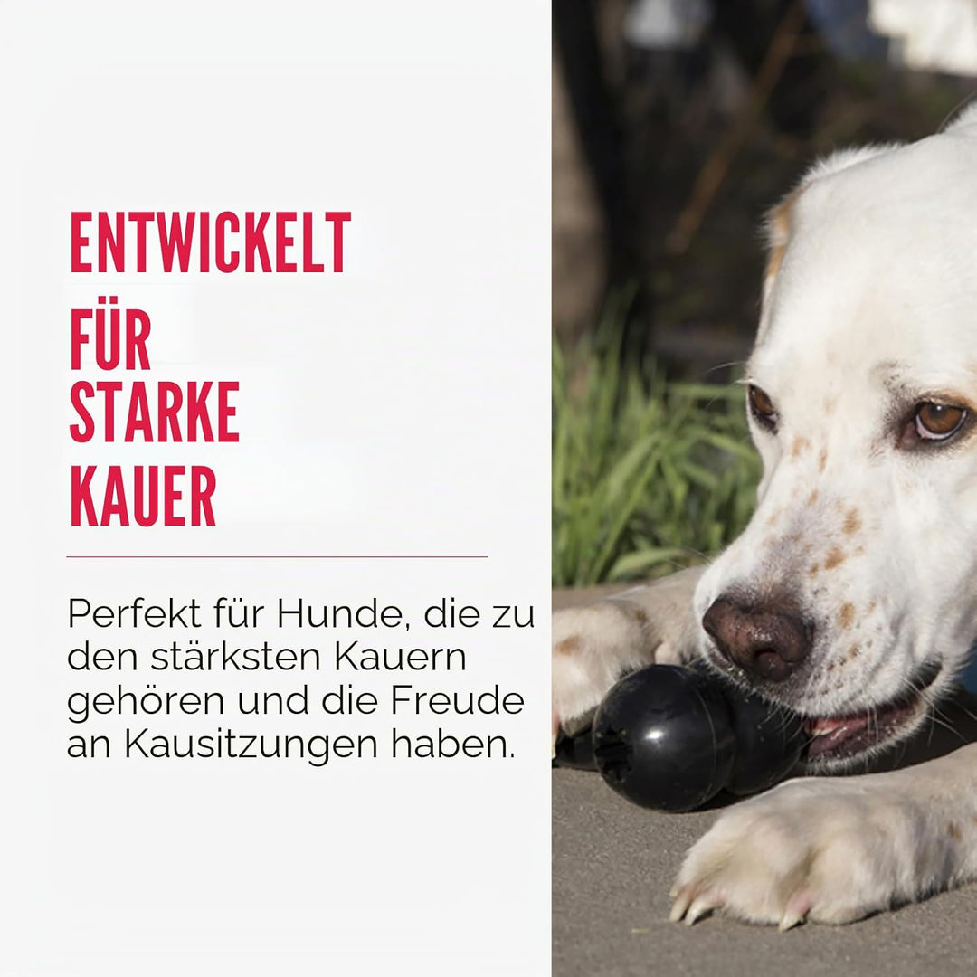 KONG Extreme Goodie Bone - Langlebiger Hundeknochen aus Naturkautschuk für Hunde mit starkem Biss -