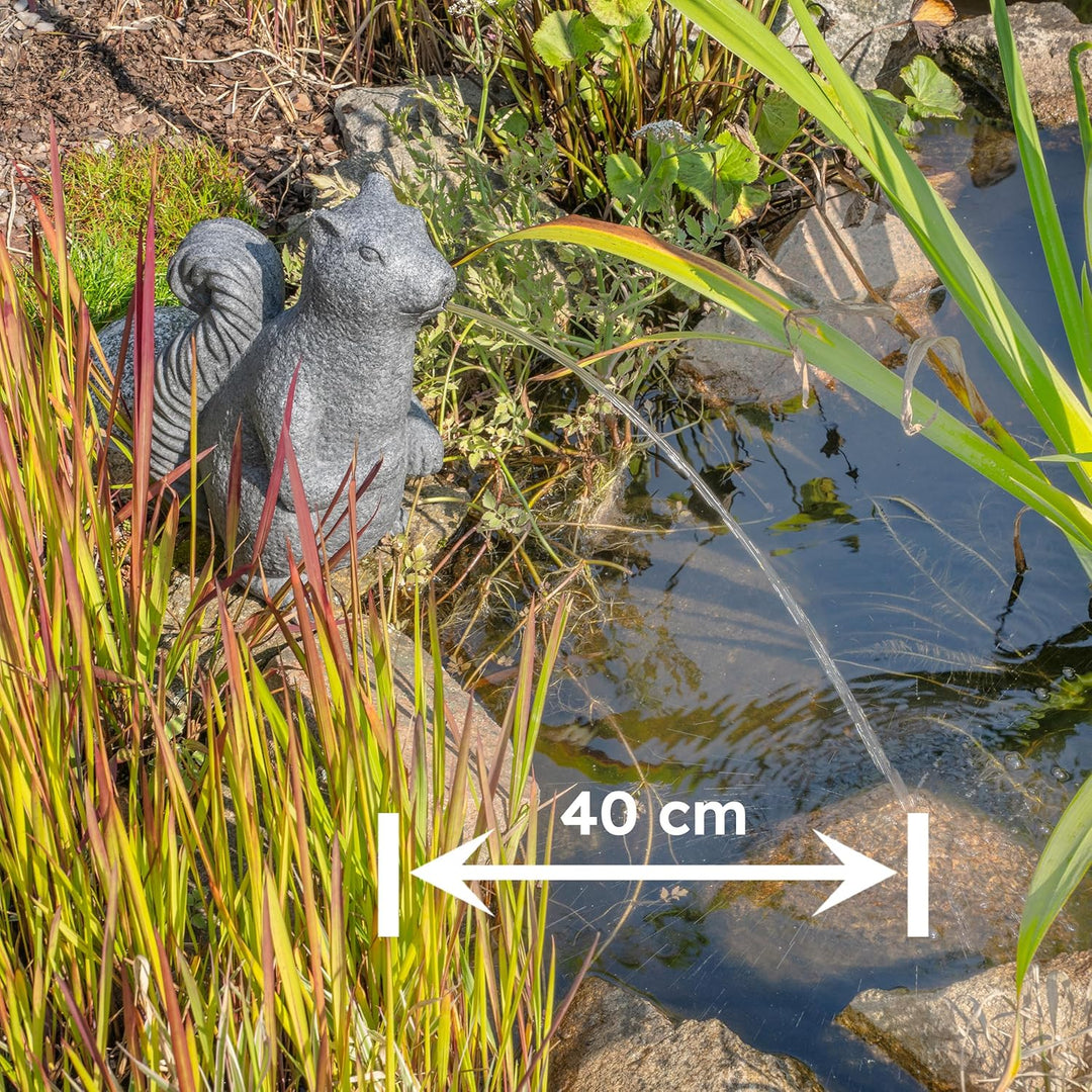 Esotec Solar Wasserspeier-Set Eichhörnchen, inklusive Teichpumpen-Set, Solarmodul, Polyresin, 1,5m S