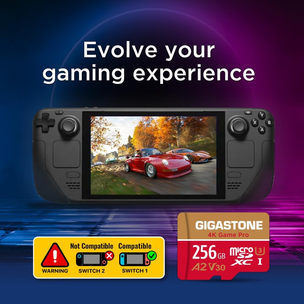 [5 Jahre kostenlose Datenwiederherstellung] Gigastone 4K Game Pro 256GB MicroSDXC Speicherkarte 2er-