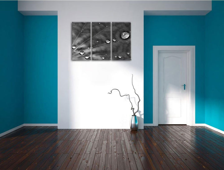Pixxprint Monocrome, kleine Wassertropfen auf grünem Blatt 3-Teiler Leinwandbild 120x80 Bild auf Lei
