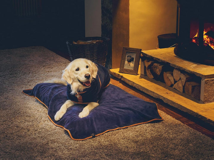 Lucky Paws® Hundehandtuch - luxuriöse 600g/m,140x80cm XL Hundehandtuch extra saugfähig - trocknet sc