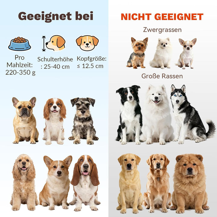 Futternapf Hund Erhöht aus Glas - Hundenapf mit Metallständer - Fress- und Wassernapf für Kleine bis