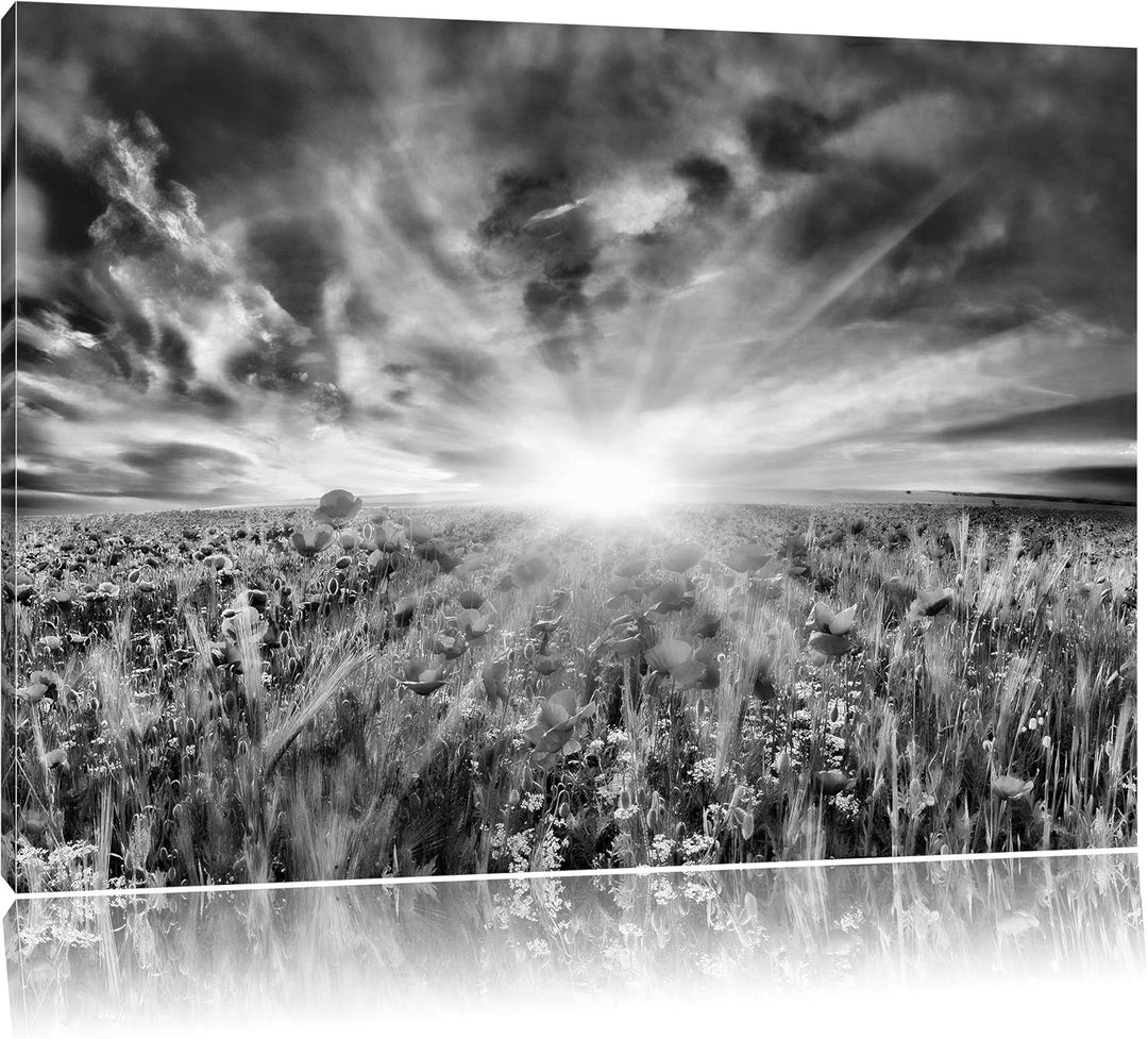 Pixxprint Blühende Mohnwiese / 100x70cm Leinwandbild bespannt auf Holzrahmen/Wandbild Kunstdruck Dek