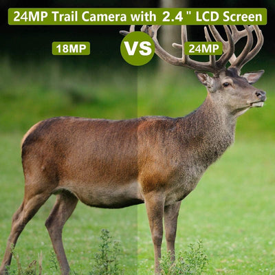 BlazeVideo 24MP Wildkamera Nachtsichtkamera Wildtier Kamera mit 1296P H.264 MPV Video, Bewegungmelde