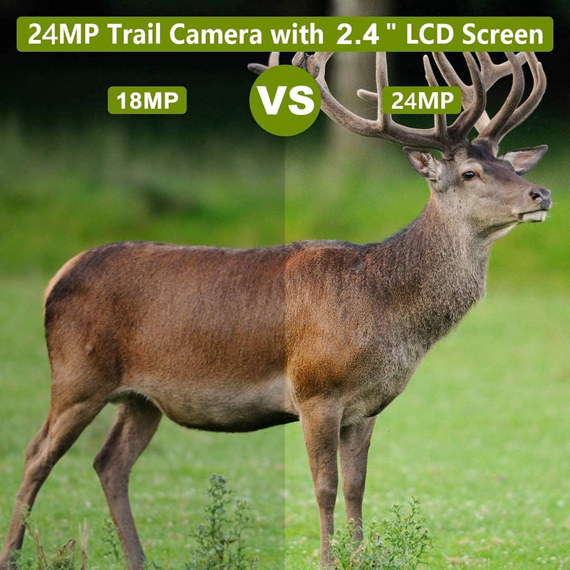 BlazeVideo 24MP Wildkamera Nachtsichtkamera Wildtier Kamera mit 1296P H.264 MPV Video, Bewegungmelde