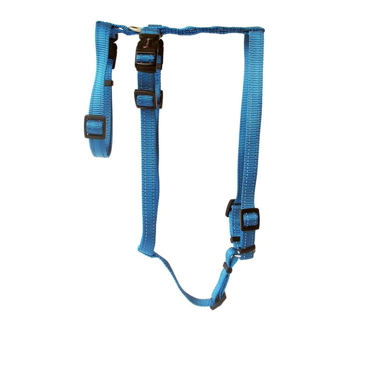 Wolters Geschirr Soft & Safe No Escape, Grösse:S 30-40 cm, Farbe:Aqua S 30-40 cm aqua, S 30-40 cm aq