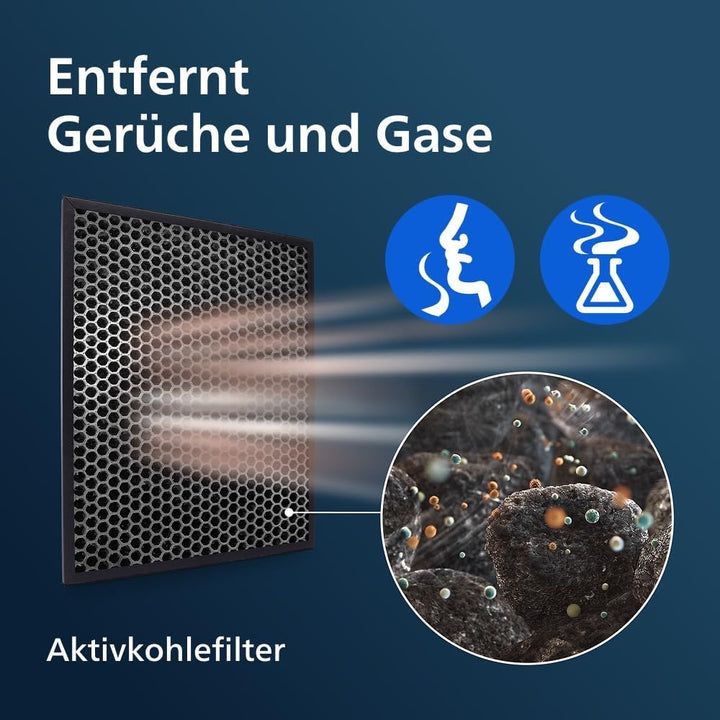Philips Domestic Appliances FY1413/30 Aktivkohlefilter für Luftreiniger series 1000, Schwarz