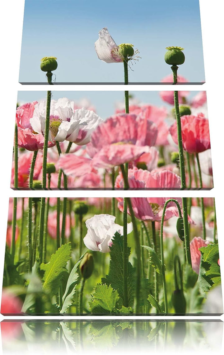 Pixxprint Blumenwiese Mohnblumen als Leinwandbild/Grösse: 3 Teilig (120x80 cm) cm/Wandbild/Kunstdruc