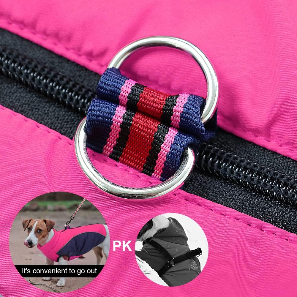 Didog Warmer Hundemantel für kleine Hunde und Katzen, mit Fleece gefüttert, reflektierende Hundejack