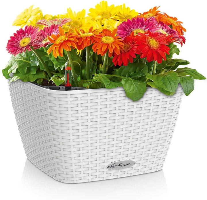 LECHUZA BACINO Cottage weiss 15450 30x30x18 cm Weiss, 30x30x18 cm Weiss