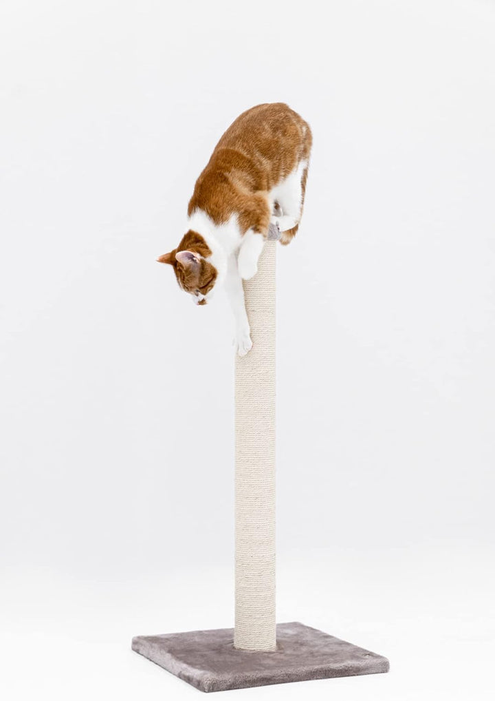 Petrebels Kratzbaum Maine 90 cm Hoch, mit Extra Stabiler Bodenplatte und Natur-Sisal Stamm, 40 x 40