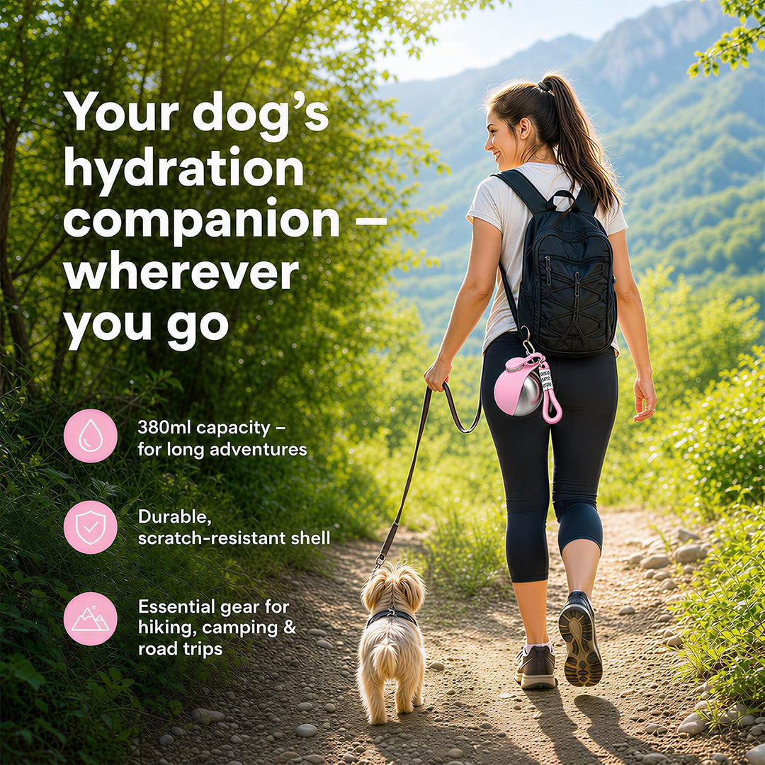 Trinkflasche Hunde für Unterwegs, 2 Stück Hundetrinkflasche für Unterwegs, 285ml Edelstahl Auslaufsi