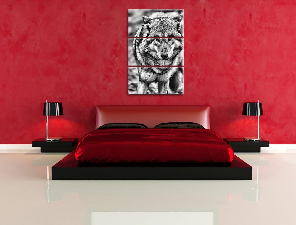 Pixxprint Monocrome, scheuer Wolf 3-Teiler Leinwandbild 120x80 Bild auf Leinwand