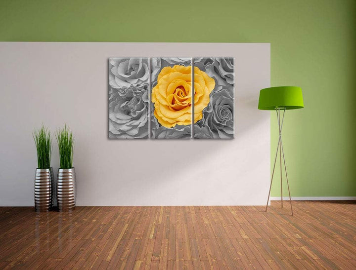 Pixxprint gelbe Rose im Rosenmeer als Leinwandbild | Grösse: 3 Teilig (120x80) | Wandbild| Kunstdruc