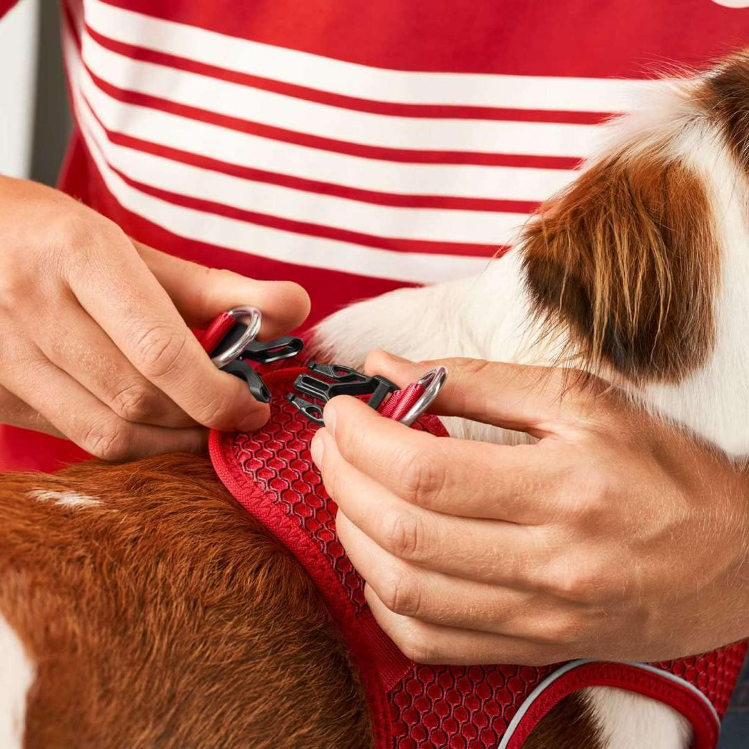 Hunter HILO COMFORT FC Bayern München Hundegeschirr, XXS-XS, rot Geschirr rot XXS-XS, rot XXS-XS