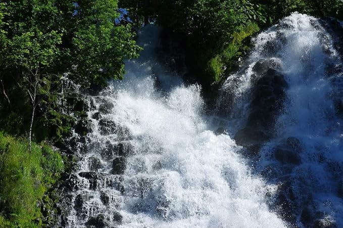 Pentax K-1 Mark II + D FA 24-70mm / 2.8 w/ 24-70mm Lens, w/ 24-70mm Lens