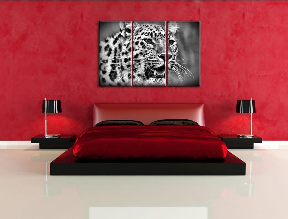 Pixxprint ausgewachsener Leopard als Leinwandbild/Grösse: 3 Teilig (120x80) cm/Wandbild/Kunstdruck/f