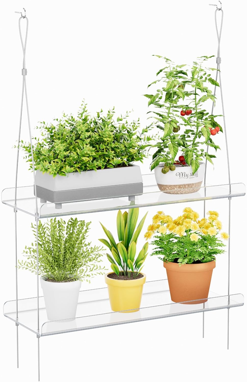 Lifewit Wandregal Blumentopf, 2 Stufen Transparent Vertiefung Kunststoff Pflanzenregal Schwimmende f
