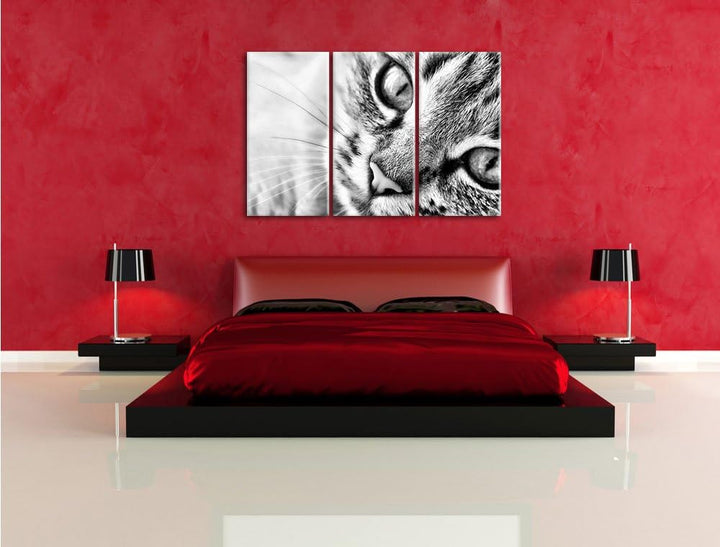 Pixxprint Grosse Katzenaugen als Leinwandbild | Grösse: 3 Teilig (120x80) | Wandbild| Kunstdruck | f