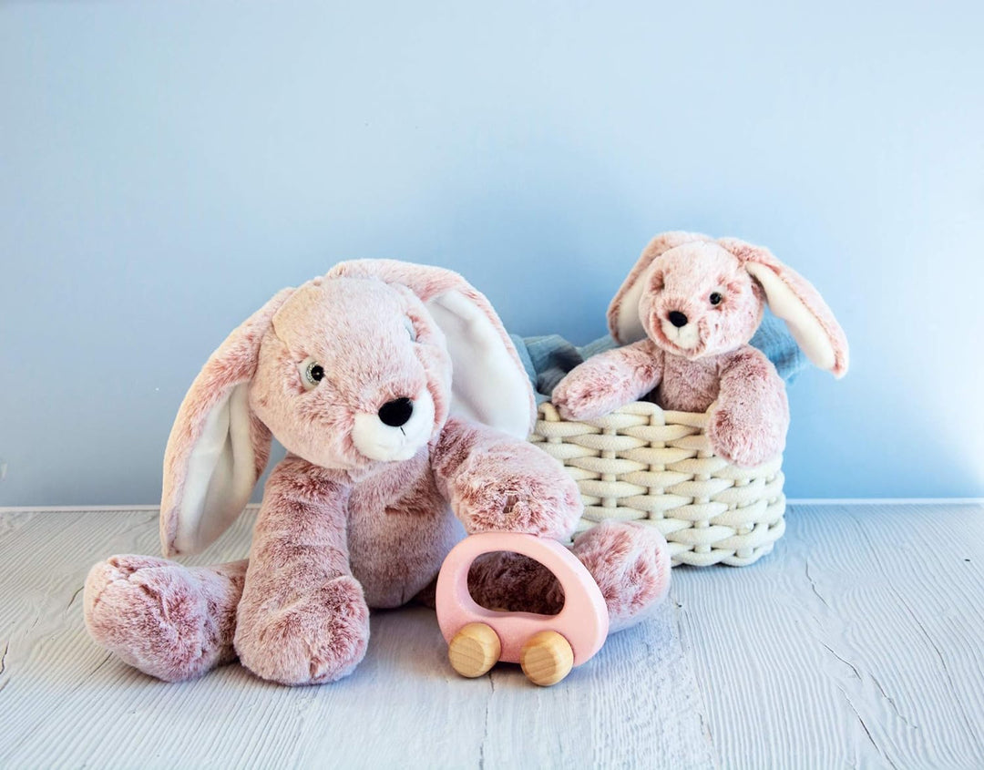 Histoire d'ours Sweety Schaumstoff PM – Hase Petit Hase, Petit Hase