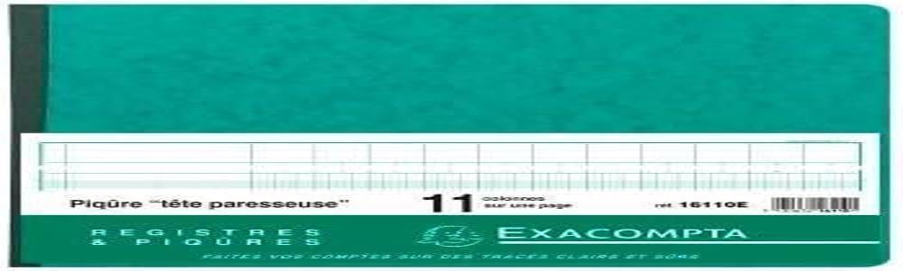 EXACOMPTA Gesch‰ftsbuch mit kopfleiste, 11 Spalten je Seite VE = 1