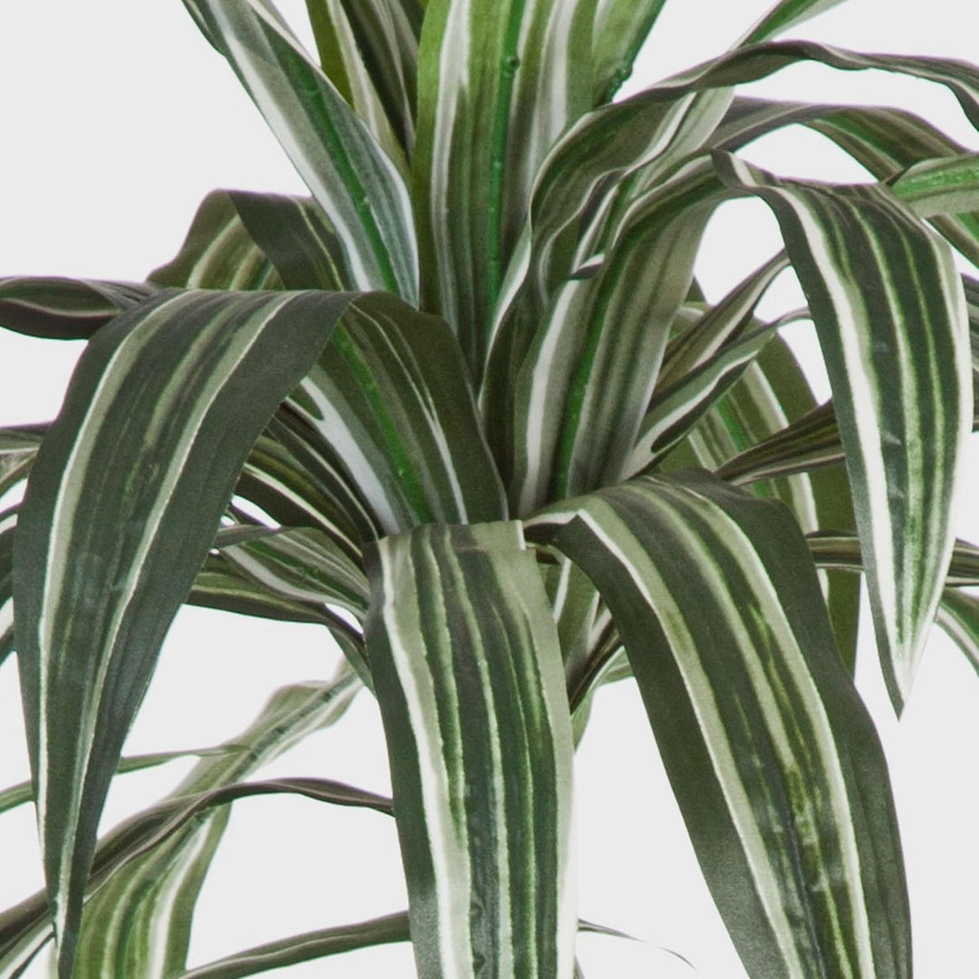 artplants.de Deko Dracaena, 6 stämmig, weiss - grün, 150cm - naturgetreue Kunstpalme - Dracaena küns