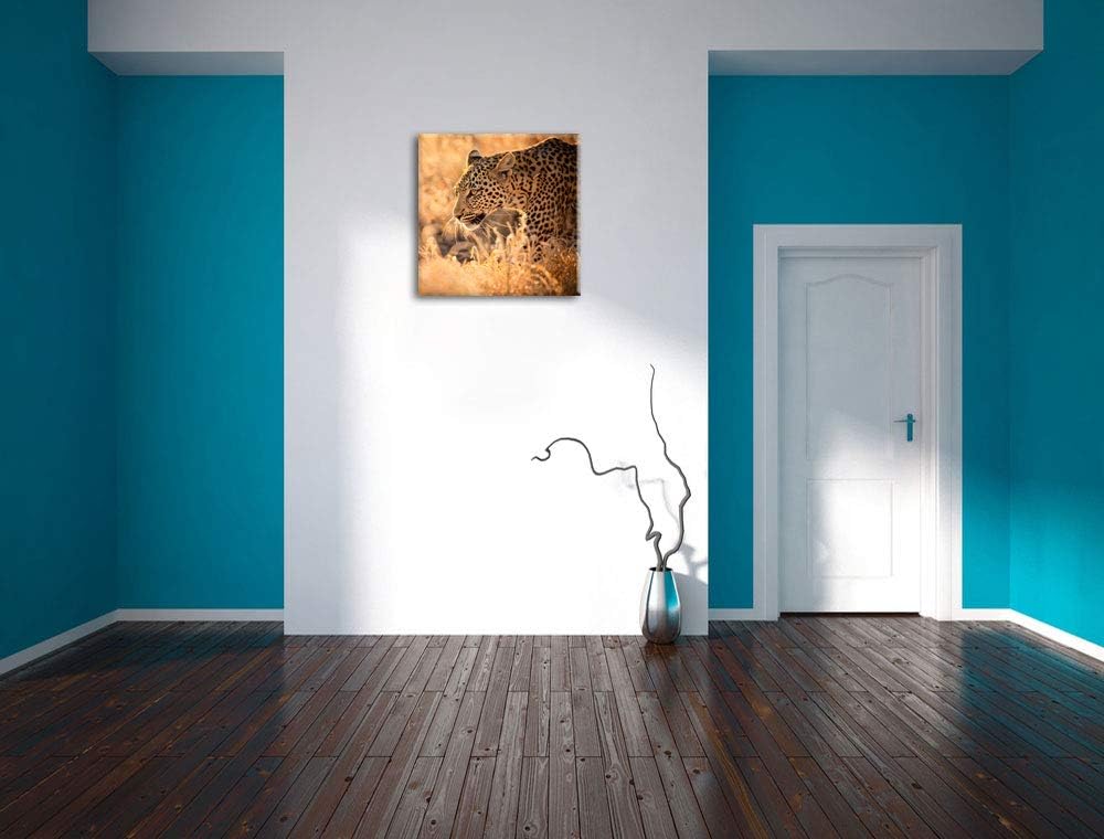 Jagender Leopard, Format: 70x70 auf Leinwand, XXL riesige Bilder fertig gerahmt mit Keilrahmen, Kuns
