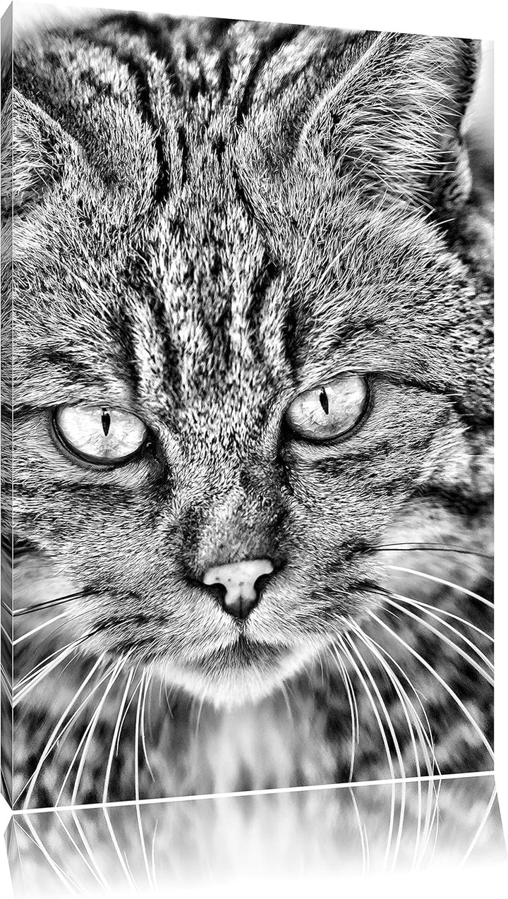 Monocrome, lauernde Manul, Format: 100x70 auf Leinwand, XXL riesige Bilder fertig gerahmt mit Keilra