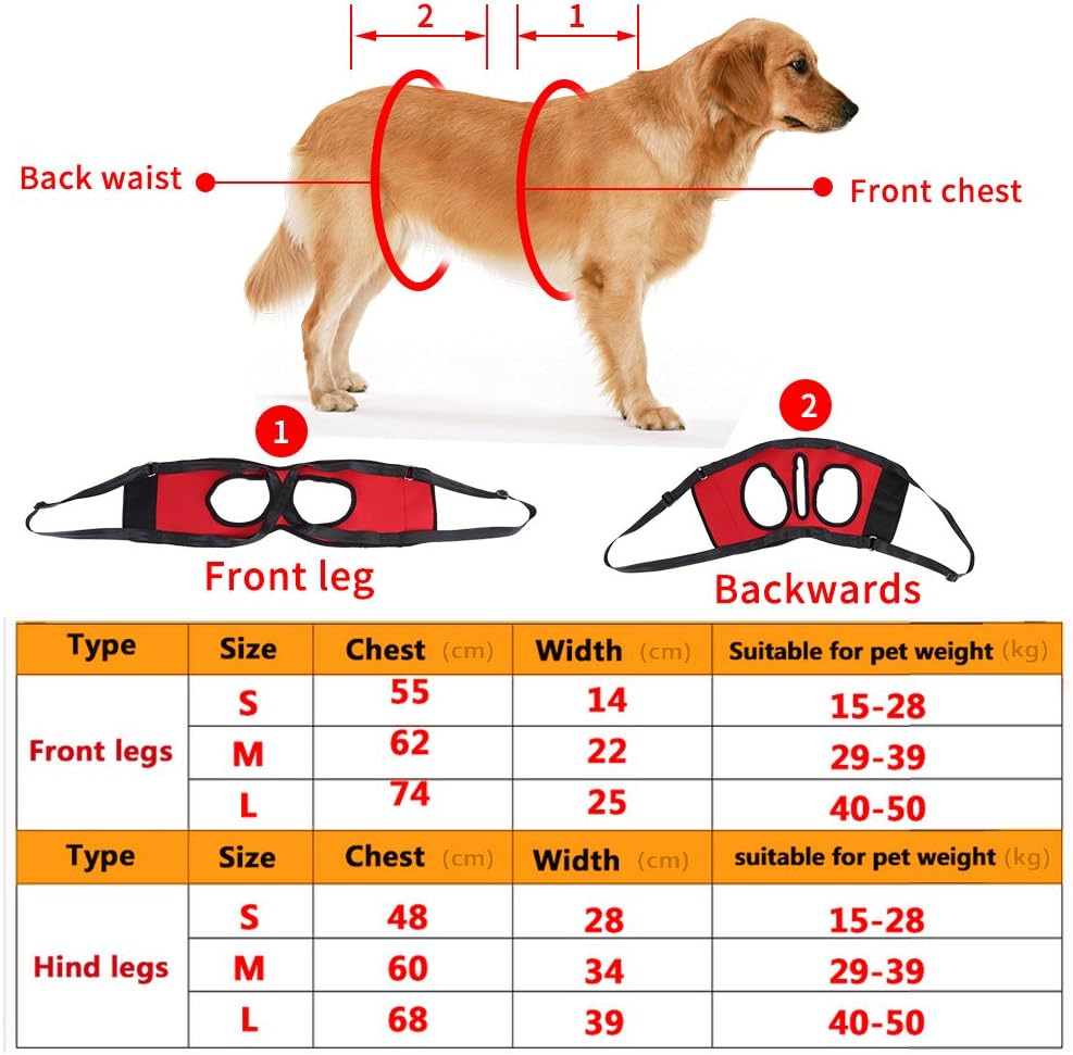 GLOGLOW Stützgeschirr für Vorder- und Rückseite für Hunde, 2 Arten, wiederverwendbar, Gehhilfe, Stüt
