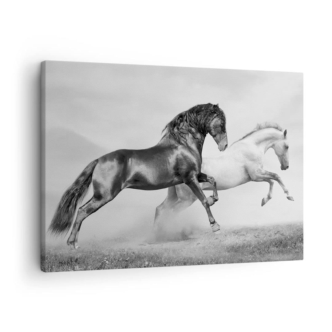 Bilder auf Leinwand Pferde Tiere Galopp Wiese Leinwandbild 70x50cm Wandbilder Dekoration Wohnzimmer