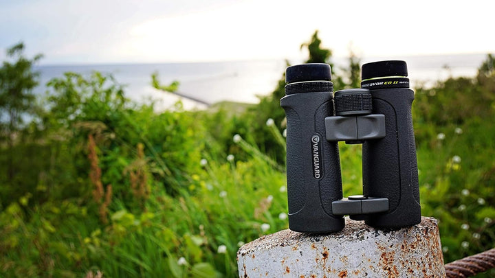 Vanguard Endeavor ED II Fernglas mit Premium Hoya ED Glas 10 x 42, 10 x 42