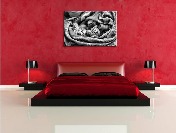 Monocrome, Babykatze, Format: 100x70 auf Leinwand, XXL riesige Bilder fertig gerahmt mit Keilrahmen,