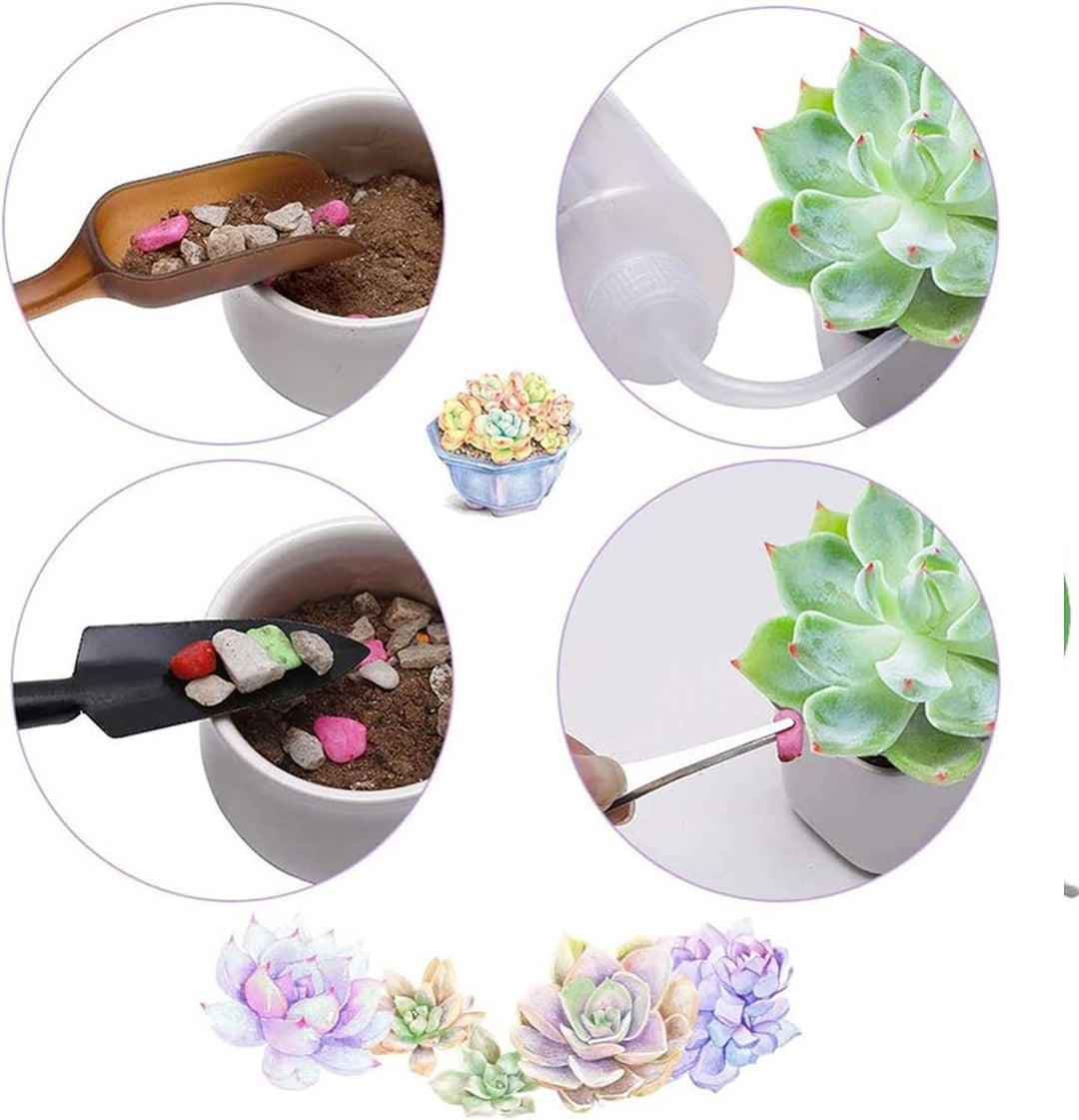 Mini Pflanzen Werkzeug Set,13 Stück Mini-Gartengeräte-Set Mini-Gartenhandtransplantation Sukkulente