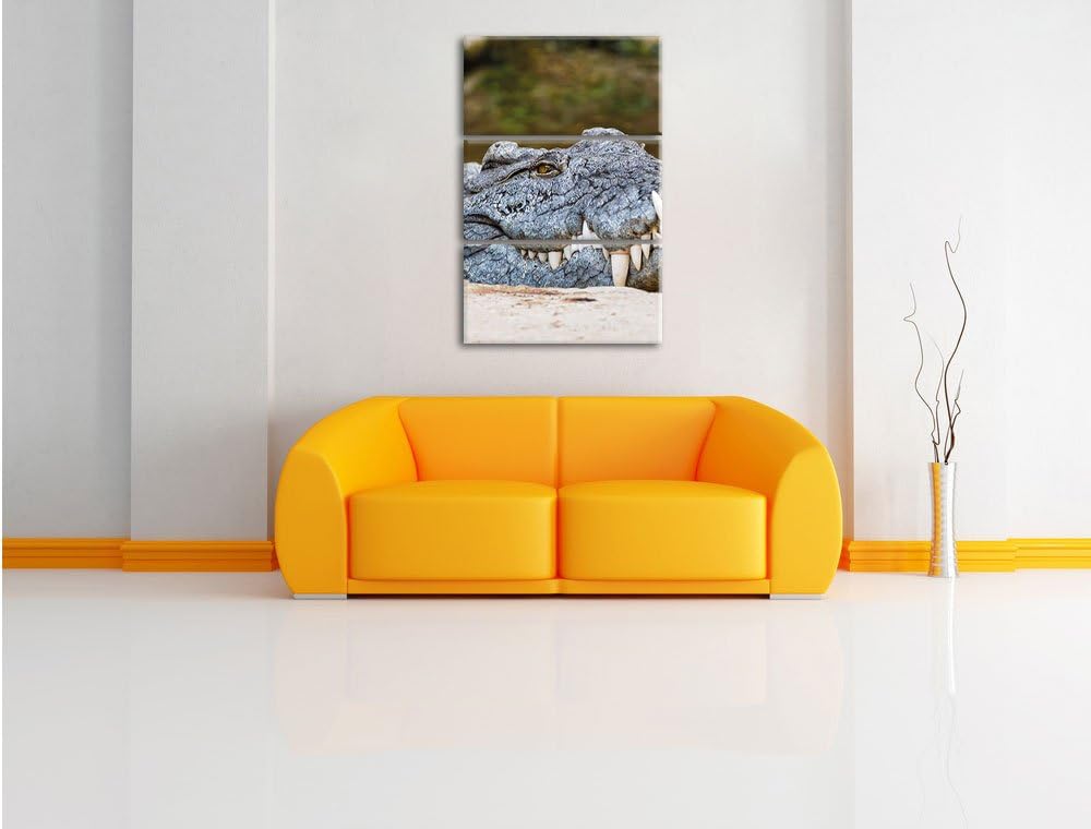Pixxprint gigantisches Krokodil als Leinwandbild/Grösse: 3 Teilig (120x80 cm) cm/Wandbild/Kunstdruck