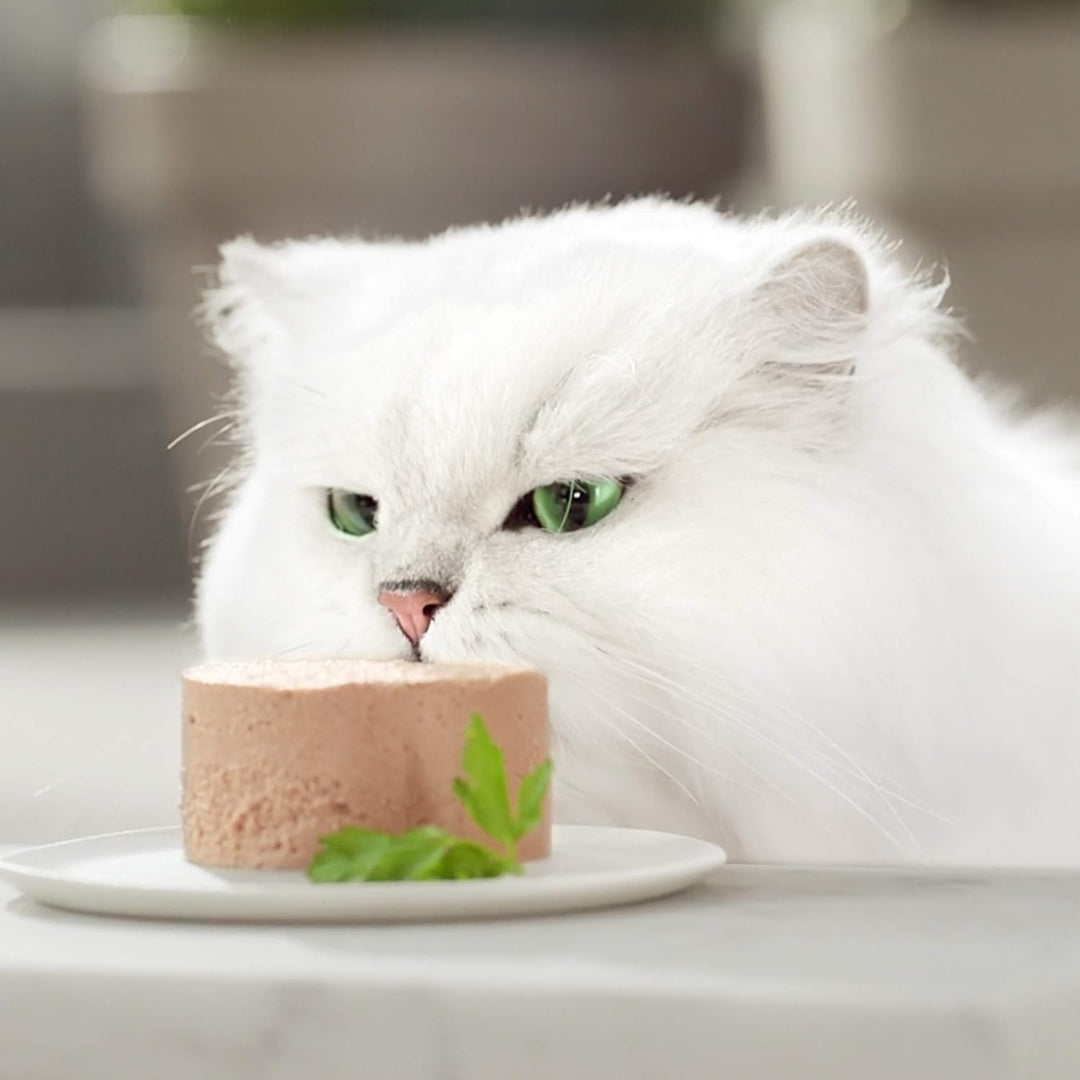 Gourmet Gold Les Mousselines Mahlzeiten für erwachsene Katzen, Geschmacksrichtungen wählbar Poulet 8