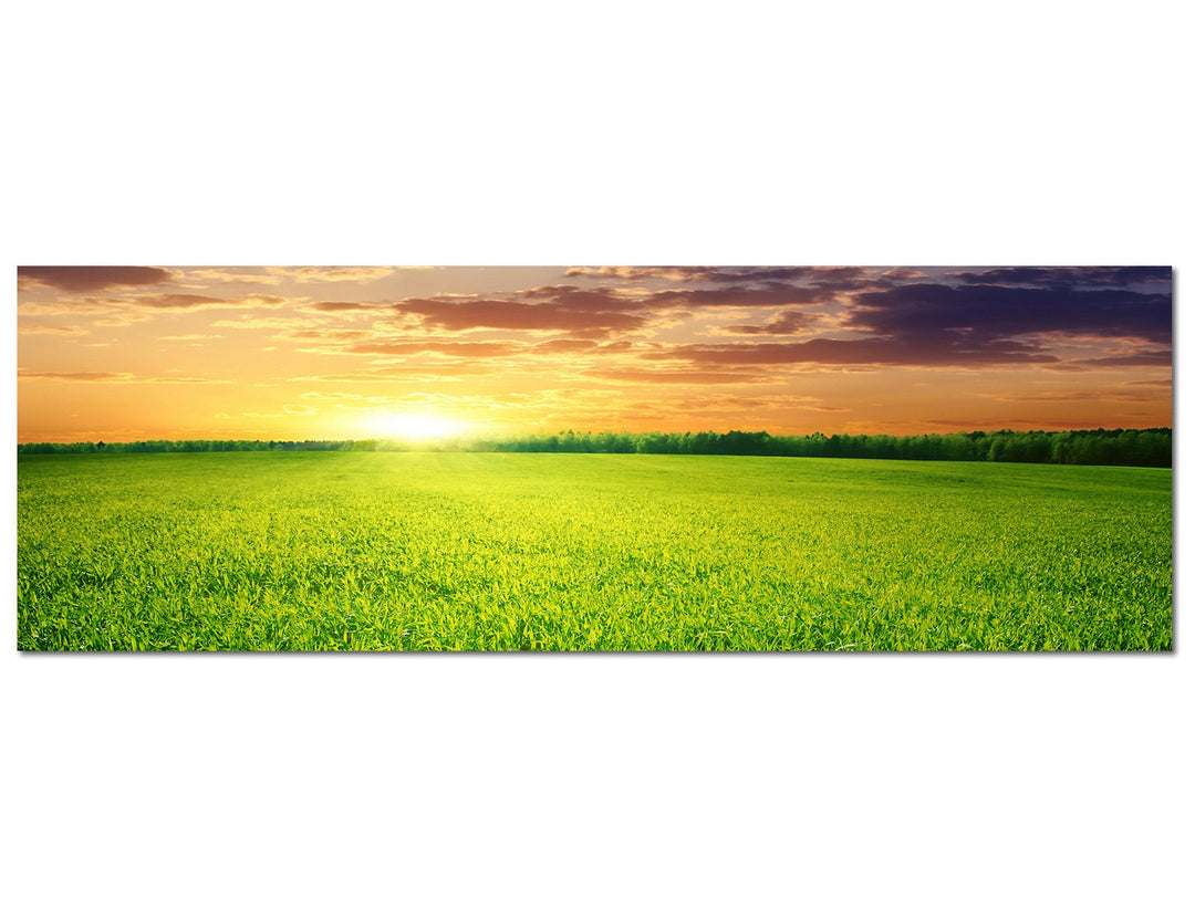 Paul Sinus Art Panoramabild auf Leinwand und Keilrahmen 120x40cm Wiese Feld Sonnenuntergang Wolken