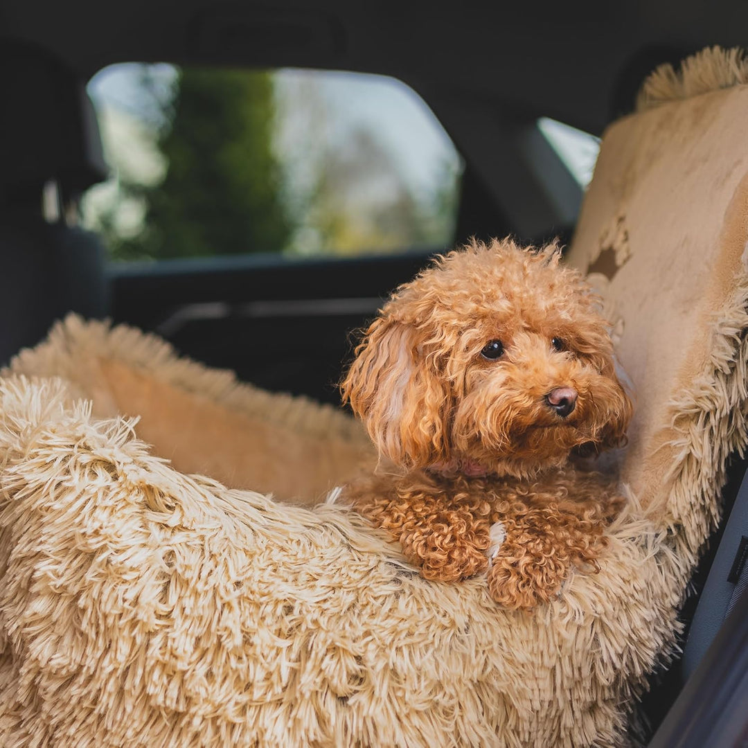 Luxuriös Hunde Auto Sitz | Autositz für Hunde, Rückbank, Vordersitz | Universal Waschbar Hundeautosi