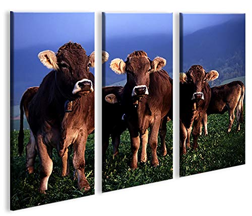 islandburner Bild Bilder auf Leinwand Kühe XXL Poster Leinwandbild Wandbild art up your life ®