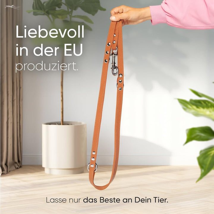 FREUDENTIER® Hundeleine aus zertifiziertem Leder 2m, 3-Fach verstellbare Führleine, liebevoll in Hol