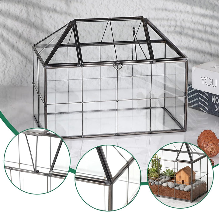 EFUTURETIME Mini Gewächshaus Fensterbank Glas 23,3 x 13,6 x 18cm Pflanzen Terrarium Klein Flaschenga