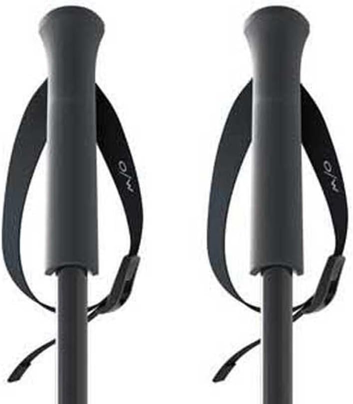 Fischer Skistöcke OneWay GT18 Flame/Vapor All Mountain Alpin Stöcke Aluminium 110cm Vapor, 110cm Vap