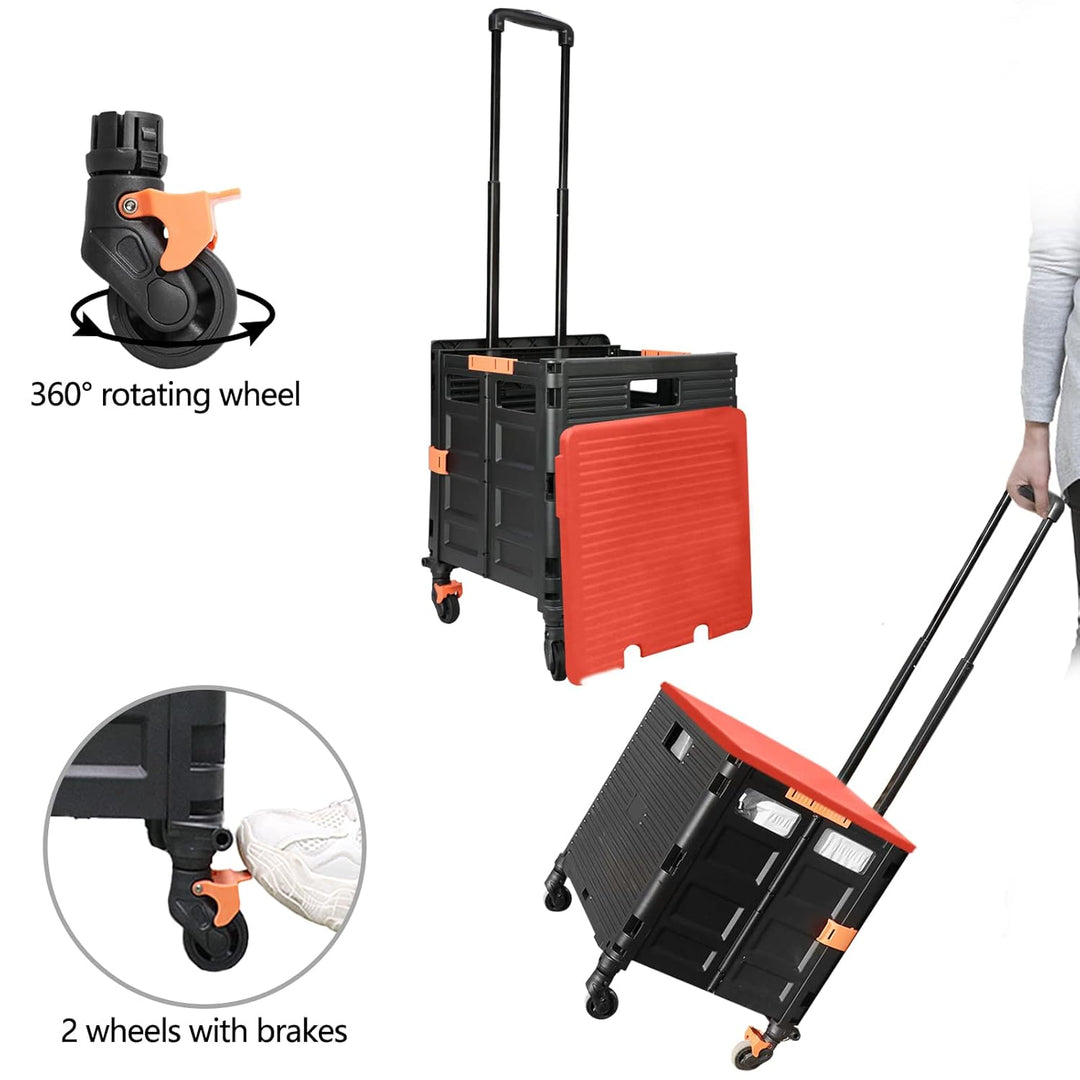 Wagen Faltbar mit Rädern, 1,93Cu ft/100Lbs Edelstahl mit Hoher Kapazität Robuster und Langlebiger Ei