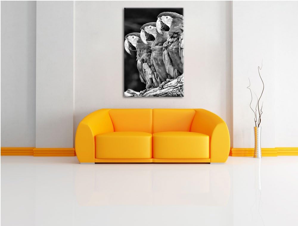 Papageien auf AST als Leinwandbild/Grösse: 100x70 / Wandbild/Kunstdruck/fertig bespannt, 100x70
