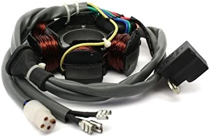 Lichtmaschine Anker Strator TPH NRG Zip Sfera Quartz Free, Gilera Runner Stalker